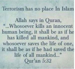 islam-is-a-religion-of-peace-300x276.jpg