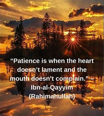 Ibn Qayyim Quotes - Quotesdownload