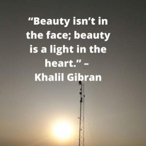 25+ Quotes on Beauty - quotesdownload.com